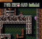 Ninja Gaiden III: The Ancient Ship of Doom:  