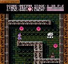 Ninja Gaiden III: The Ancient Ship of Doom:  