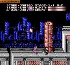 Obrazek z gry Ninja Gaiden II: The Dark Sword of Chaos