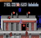 Obrazek z gry Ninja Gaiden II: The Dark Sword of Chaos