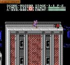 Obrazek z gry Ninja Gaiden II: The Dark Sword of Chaos