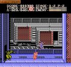 Obrazek z gry Ninja Gaiden II: The Dark Sword of Chaos