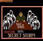 Screen gry Operation Secret Storm: 