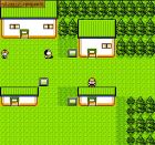 Pokemon Gold:  