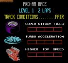 Obrazek z gry R.C. Pro-Am