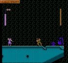 Shadow of the Ninja:  