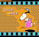 Obrazek z gry Snoopy's Silly Sports Spectacular