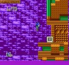 Sonic The Hedgehog:  