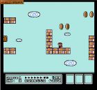 Screen gry Super Mario Bros 3: 