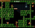 Obrazek z gry Super Robin Hood