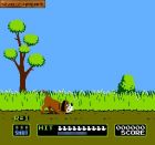 Super Mario Bros, Duck Hunt:  
