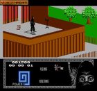 The Last Ninja:  