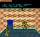 Wally Bear & the No Gang:  