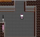 Blaster Master:  