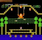 Donkey Kong 3:  