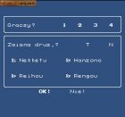 Screen gry Downtown Nekketsu Koushinkyoku: Soreyuke Daiundoukai (PL): 