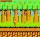 Hudson's Adventure Island (PL):  