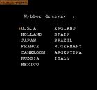 Nintendo World Cup (PL):  