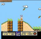 Remix of Tiny Toon Adventures:  