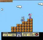 Remix of Tiny Toon Adventures:  