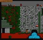 Screen gry Secret Scout in the Temple of Demise: 