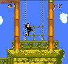 Screen gry Super Donkey Kong: 