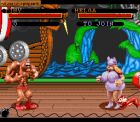 Screen gry Clay Fighter: 