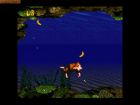 Obrazek z gry Donkey Kong Country