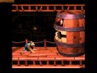 Screen gry Donkey Kong Country 3: Dixie Kong's Double Trouble!: 