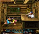 Screen gry Donkey Kong Country 3: Dixie Kong's Double Trouble!: 
