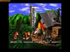 Obrazek z gry Donkey Kong Country