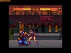 Double Dragon V: The Shadow Falls:  