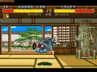 Fighter's History:  