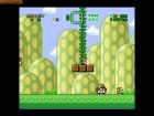 Screen gry Luigi's Adventure: 