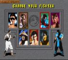 Screen gry Mortal Kombat: 
