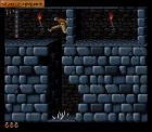 Obrazek z gry Prince of Persia