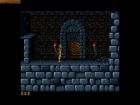 Obrazek z gry Prince of Persia