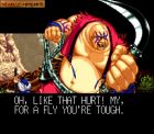 Samurai Shodown:  