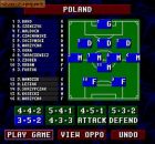 Sensible Soccer: International Edition:  