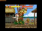 Obrazek z gry Street Fighter II: The World Warrior