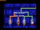 Obrazek z gry Super Street Fighter II: The New Challengers