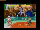 Obrazek z gry Super Street Fighter II: The New Challengers