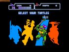 Screen gry Teenage Mutant Ninja Turtles IV: Turtles in Time: 