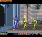 The Ninja Warriors:  