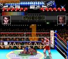 TKO Super Championship Boxing:  
