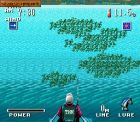 TNN Bass Tournament of Champions:  