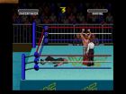 Screen - WWF Super WrestleMania