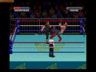 Screen - WWF Super WrestleMania