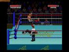 Screen - WWF Super WrestleMania