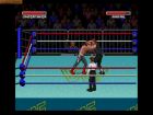 Screen - WWF Super WrestleMania